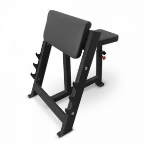   Bronze Gym AL-303