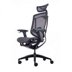    GT Chair InFlex X