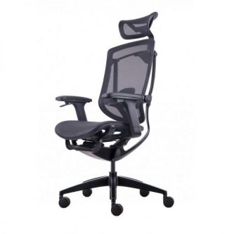    GT Chair InFlex X