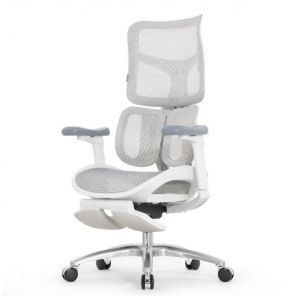   Falto SCALA-OFFICE   ()