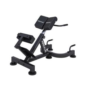  /   DFC MAXXUS GSMX-600080-00019-0001