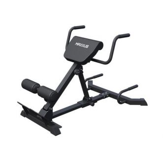  /   DFC MAXXUS GSMX-600417-00019-0001