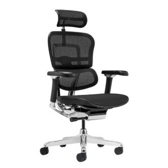 ������������ ������ ������ ���� Falto Ergohuman 2 Luxury ����� , ������