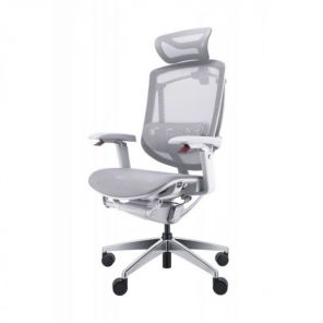 ������� ������������ ������ GTCHAIR Chair Marrit X Pro, �����