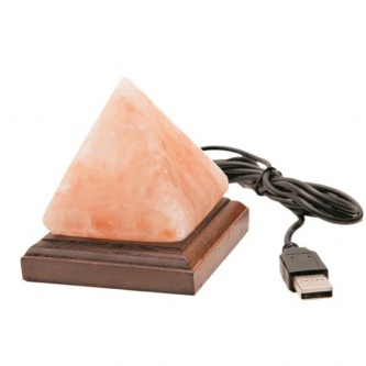   Salt Vision   USB